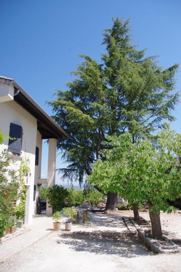 Le Grand Cedre - 2 Chambres D'Hotes - Sud Ardeche Bourg-Saint-Andéol Exteriér fotografie